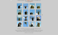 website Cora Moret