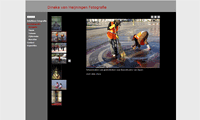 website Dineke van Heijningen