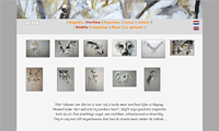 website Linty