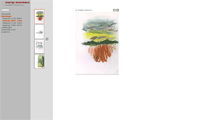 website Marije Mommers