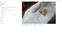 website miek zwamborn