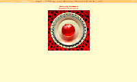 website Yolanda Bootsma